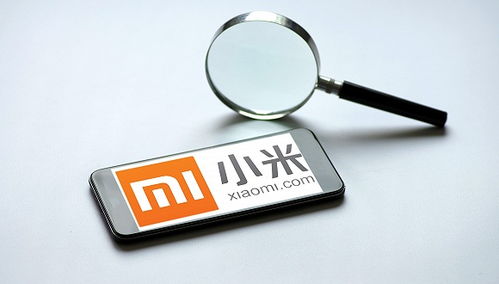 小米強(qiáng)化隱私保護(hù)與信息安全 第一優(yōu)先級(jí)的戰(zhàn)略布局與未來互聯(lián)網(wǎng)服務(wù)高舉高打